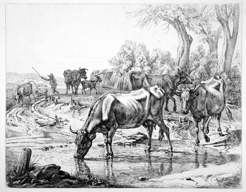 Johann Adam Klein, Herd watering. This original etching is for sale: £250