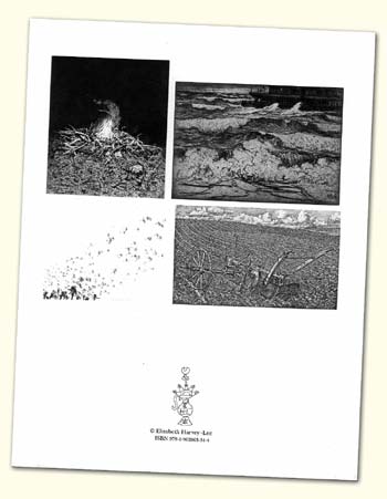 Elizabeth Harvey-Lee, Catalogue 55; The Four Elements - Back Cover image