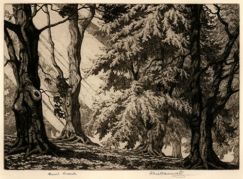 ALICE BARNWELL, 1910 – 1980. Beech Woods. Original etching.