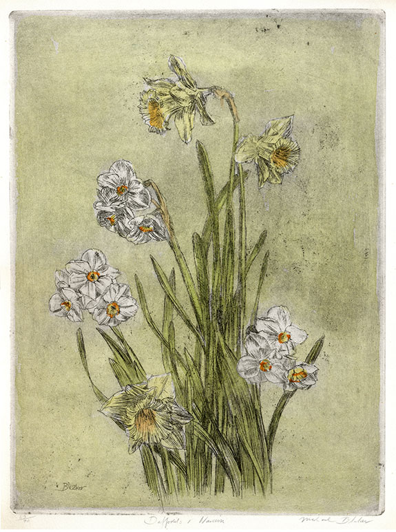 The Works of Michael Blaker | Exhibition by Elizabeth Harvey-Lee |  Daffodils and Narcissus