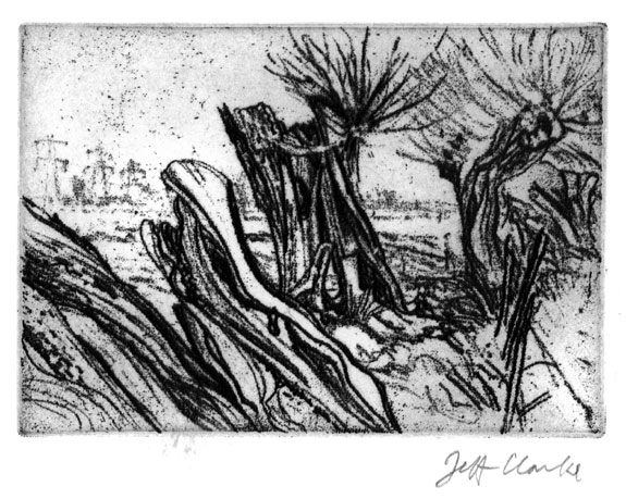 Jeff Clarke at 80 | Exhibition by Elizabeth Harvey-Lee | Hinksey Willows, Oxford