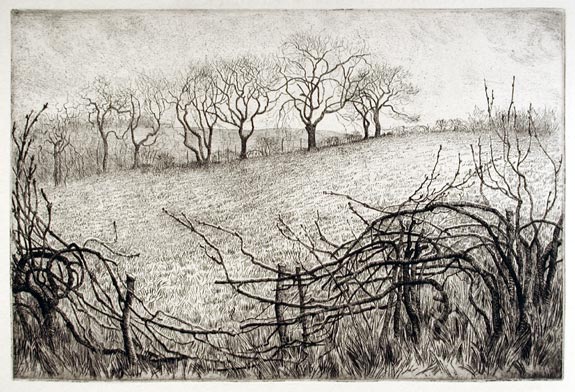Isabel Codrington, Swimbridge, Devon 1874 – 1943 Minehead, Somerset. The Broken Hedge. Original etching, c1930.