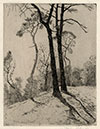 Charles Holroyd, Trees at Hampstead. Original etching, 1893. 