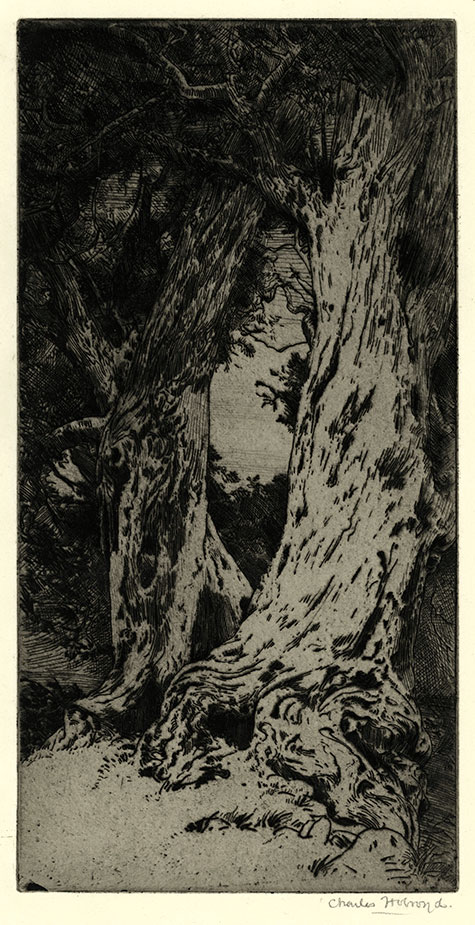 Charles Holroyd, Wordsworth’s Yews. Original etching, 1908. 