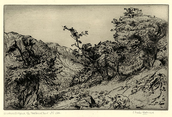 Charles Holroyd, Borrowdale Yews. Original etching, 1903. 
