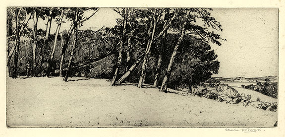 Charles Holroyd, Pine Trees at Farringford, on the Isle of Wight. Original etching, 1900-01. 