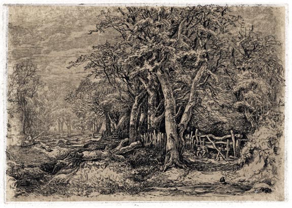 The Norwich School of Artists. John Middleton, Norwich 1827 – 1856 Norwich. Gunton Park, Norfolk. Original etching, c.1850-52. 