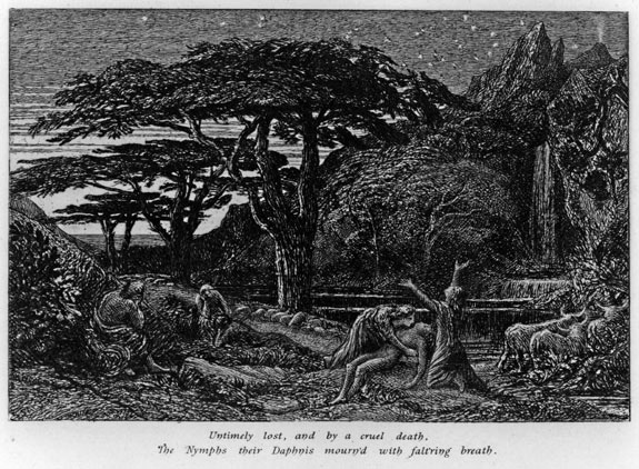 The Cypress Grove | Samuel Palmer | Etching | Elizabeth Harvey-Lee