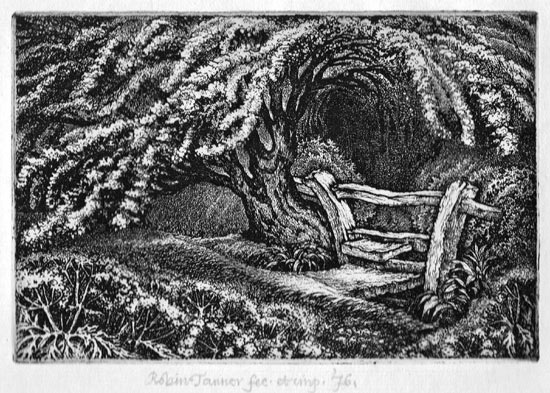 Robin Tanner A.R.E., Bristol 1904–1988 Kington Langley, Wiltshire. The Old Thorn. This etching is for sale