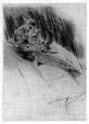 GIOVANNI BOLDINI, Ferrara 1842 – 1931 Paris. Whistler asleep. This original drypoint is for sale, priced £4000