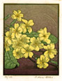IVY ANN ELLIS, Birmingham 1897 – 1984. Primroses. This original colour wood engraving has been sold.