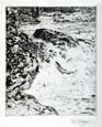DAVID THOMAS ROBERTSON, Darlington 1879 - 1952 Sunderland. A Salmon River. Original drypoint. For sale, priced £250