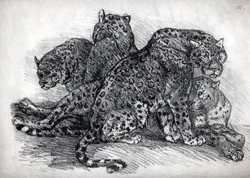 EDGAR ASHE SPILSBURY, Lambeth 1780 - Walsall 1840. Panthers. Chalk lithograph, c1803.