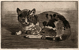 THEOPHILE ALEXANDRE STEINLEN, Lausanne 1859 – 1923 Paris. Petit Chat. Original etching, 1898. 
