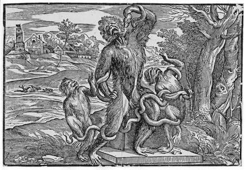 NICOLÒ BOLDRINI after TITIAN, Vicenza c1500 – after 1566. Caricature of the Laocoon. This Woodcut, c1540, is for sale, priced £1000