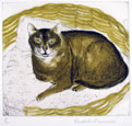 Elizabeth Blackadder, Abyssinian Cat