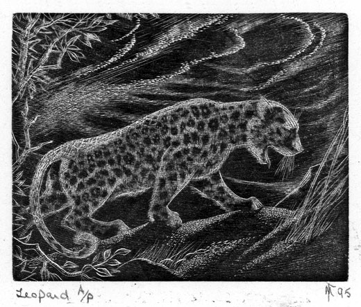 Sister MARGARET TOURNOUR, Sutton, Surrey 1921 – 2003 Roehampton. Leopard. Original wood engraving, 1995. 