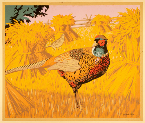 Albert Joseph Casson (1898–1992): Pheasant in a Corn field